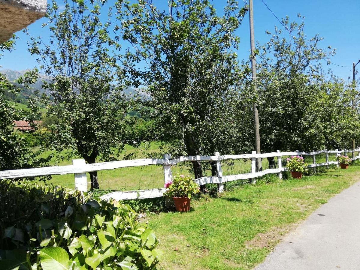 La Casa Nueva Alojamiento Rural Cereceda  Extérieur photo