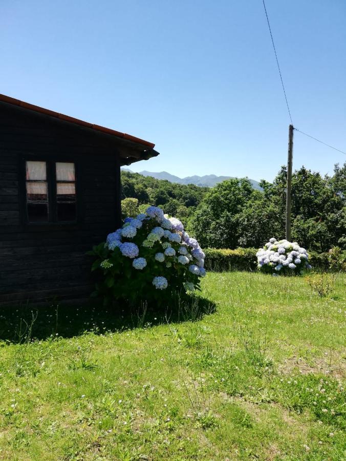 La Casa Nueva Alojamiento Rural Cereceda  Extérieur photo