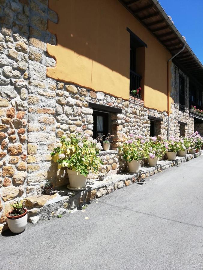 La Casa Nueva Alojamiento Rural Cereceda  Extérieur photo