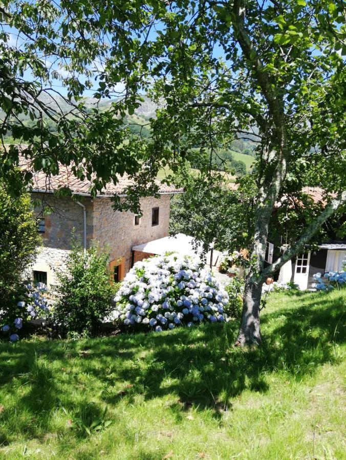 La Casa Nueva Alojamiento Rural Cereceda  Extérieur photo
